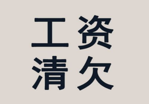 債務(wù)人無(wú)力清償債務(wù)如何證明